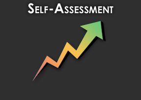 Self-Assessment